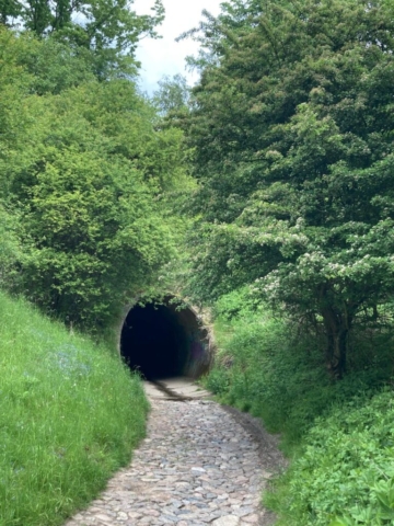 Tunel